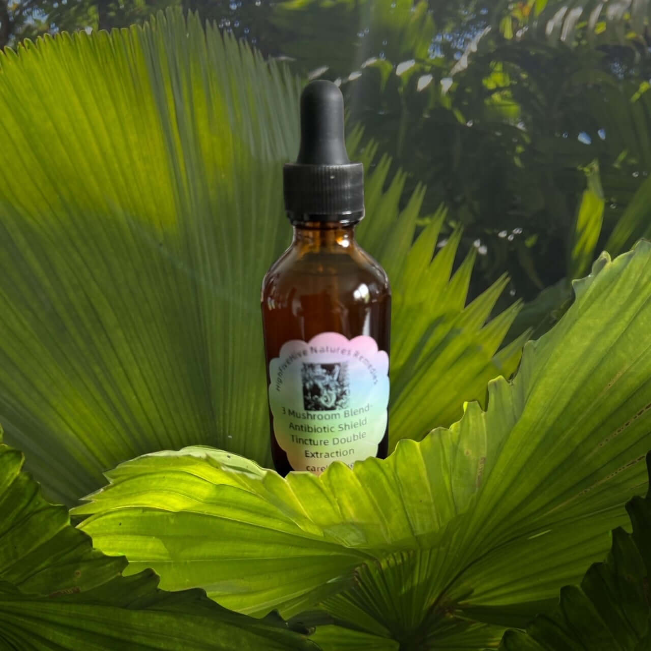 Three Mushroom Blend: A Double Extraction Tincture