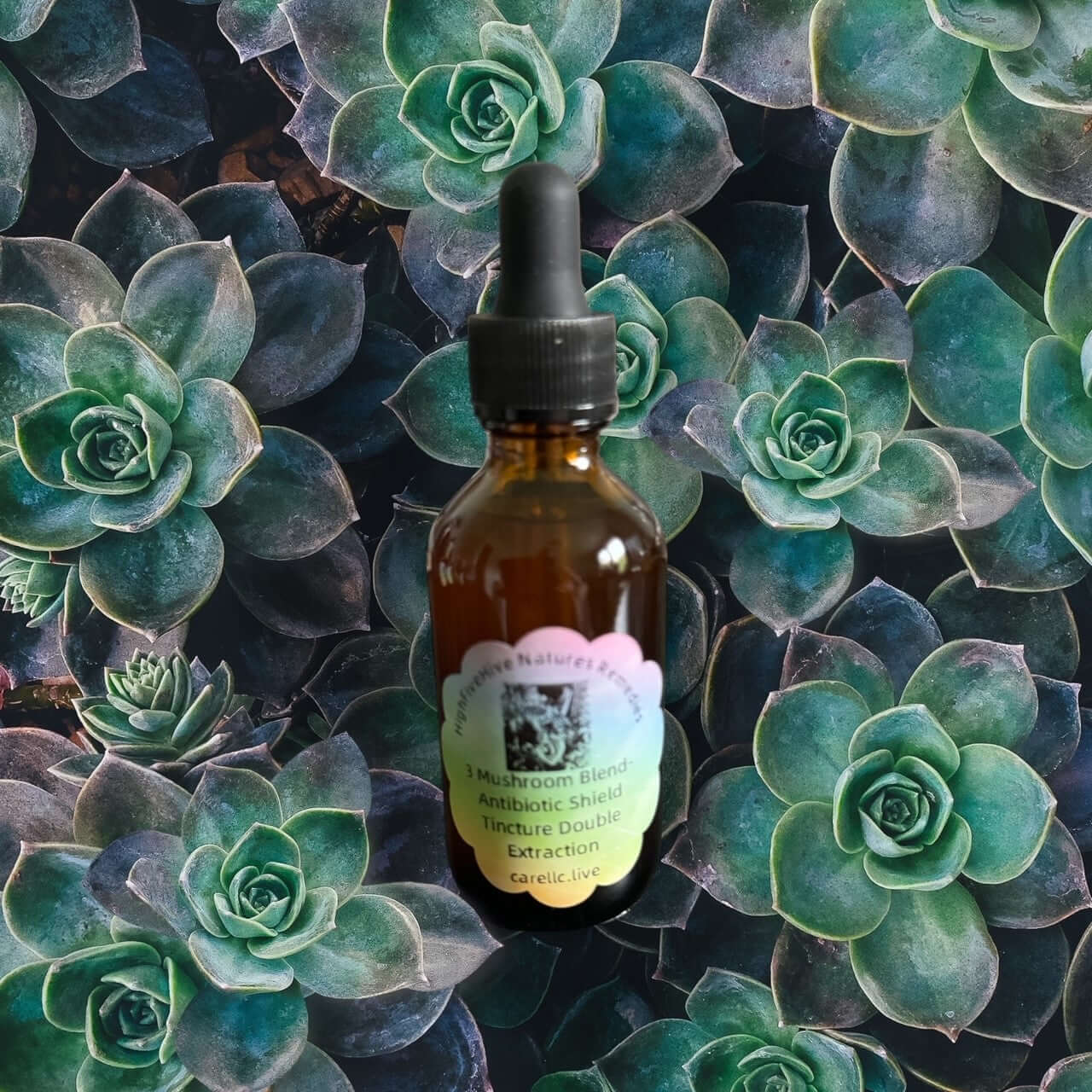 Three Mushroom Blend: A Double Extraction Tincture