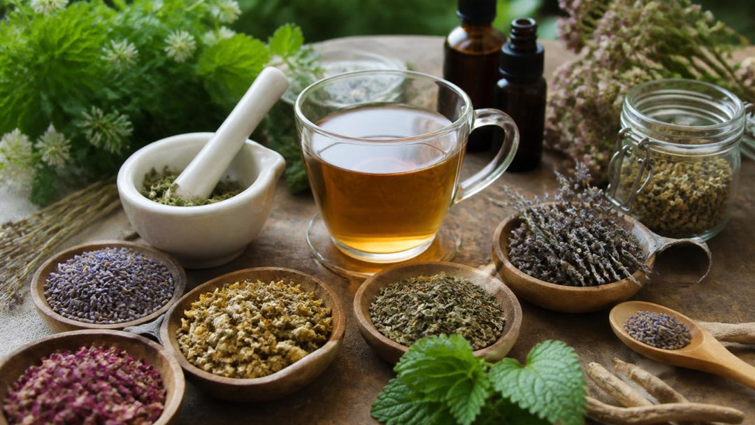Herbal Remedies for Anxiety and Stress Relief: 7 Options