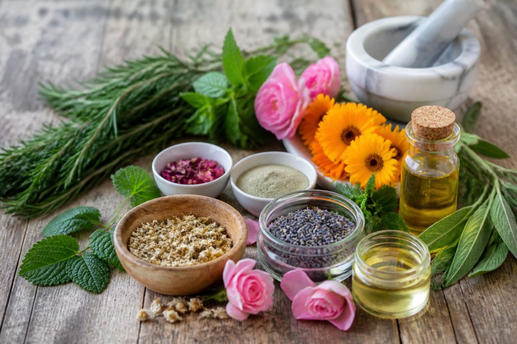 Herbal Remedies for Skin Health: 7 Proven Herbs