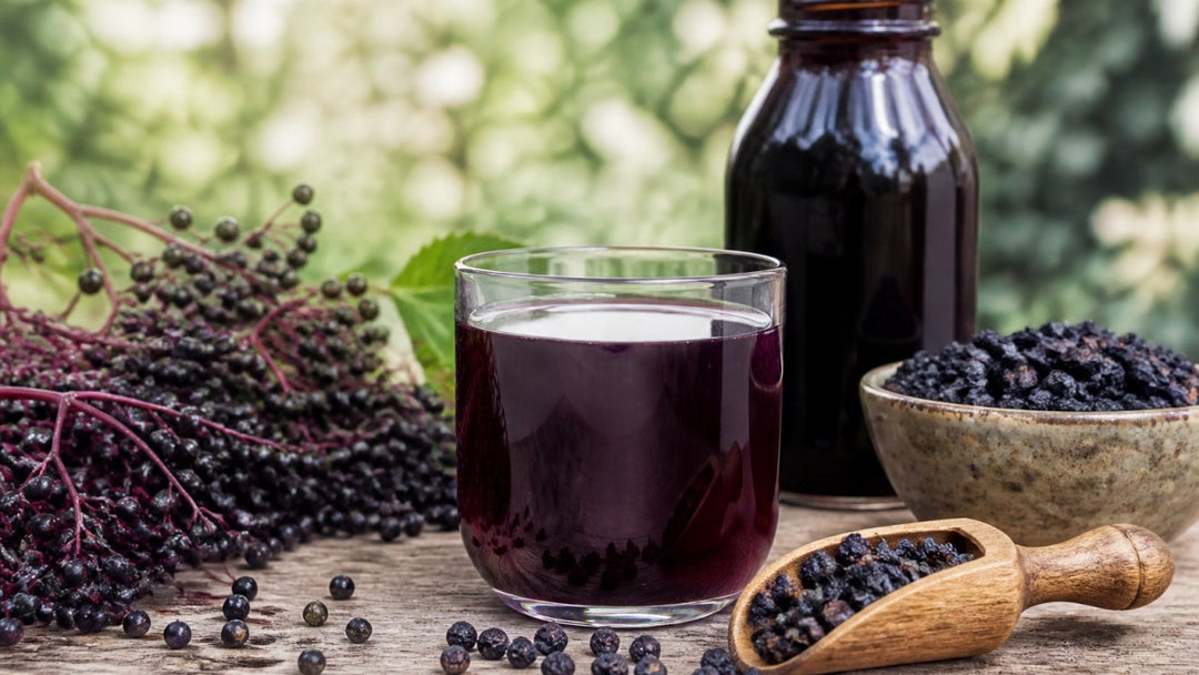 Is Elderberry Safe for Daily Use? A 2026 Guide