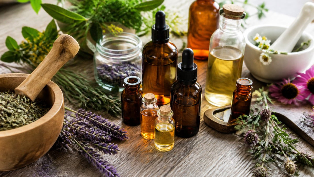 Which Herbal Extract Is Right for Nervous System Support?