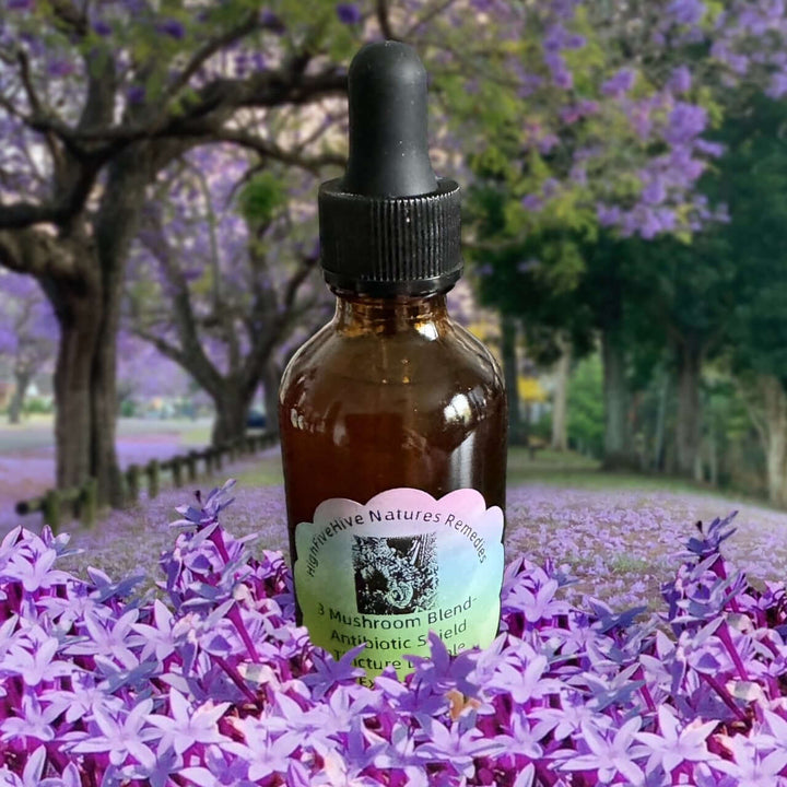 Three Mushroom Blend A Double Extraction Tincture