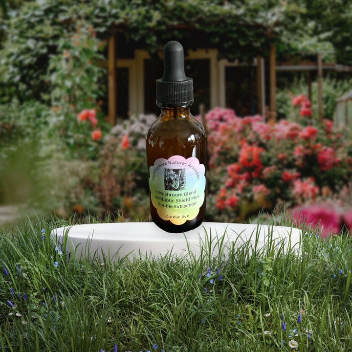 Ancient Traditions 4 Mushroom Double Extraction Tincture