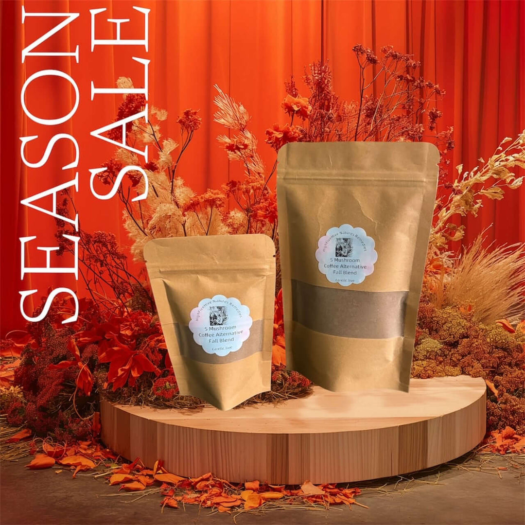 Earthy Embrace 5 Mushroom Coffee Alternative - Fall Blend